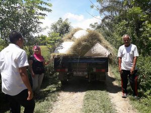 Kampung Alai, Diverifikasi Dinas Lingkungan Hidup PesSel