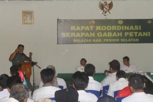 Kodim 0311/Pessel Gelar Rakor Serapan Gabah Petani