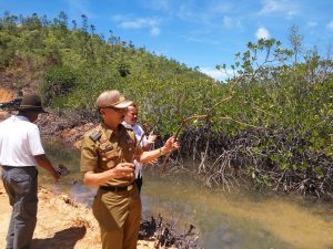 Dalang Kerusakan Hutan Mangrove, Bupati: Itu Ulah Orang Nomor 2