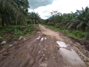 Sering Konflik Lahan, Transmigran Tajung Gadang Lebih Banyak Memilih Pindah Keluar