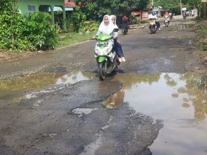 Pelebaran Jalan Nasional di Pessel Mengancam Keselamatan Pengendara