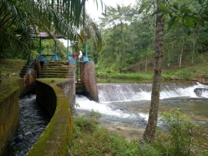 Tiga Tahun Jebol, Masyarakat Linggo Sari Baganti Berharap Saluran Irigasi Segera Diperbaiki