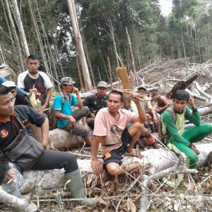 Hutan Lindung Dirambah, Masyarakat Taluak Tigo Sakato Geram