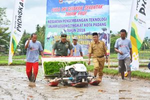 Diperta Bersama Kodim 0312/Padang, Gerakan Tanam Padi Serentak dengan Sistem Jarwo