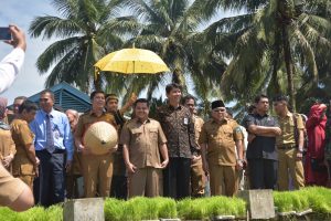 WAKO DERI ASTA LOUNCING DESA MANDIRI PANGAN