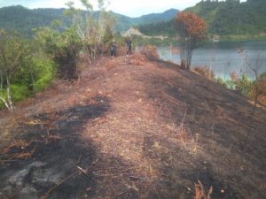 Tim Polda dan Polres Pessel, Tanggapi Kasus Pembakaran Pulau Taraju