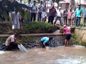 Pelepasan 5000 Bibit Ikan Rayo di Saluran Irigasi Batang Bayang