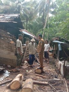 BELUM SEMPAT BANTUAN DIKUCURKAN , RTLH ITU TELAH HANCUR TERTIMPAH POHON