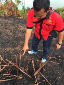 Bupati Hendrajoni Minta Agar Kasus Kebakaran Pulau Taraju Segera Dituntaskan