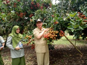 Tingkatkan Ekonomi Masyarakat Dengan Tamanan Buah Unggul