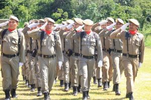 Hari Jadi Pol PP, Dharmasraya Sabet Juara III Lomba Defile dan Pol PP Teladan