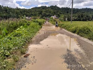 Drainase Kurang Berfungsi, Jalan Pinang Balirik Rawan Kecelakaan