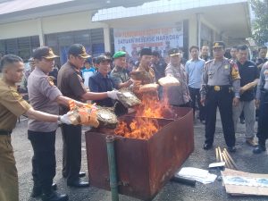 Polres pasaman Musnahkan Barang Bukti Ganja 17 Kg