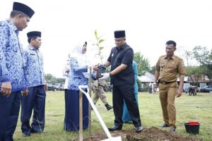 Peringati Hari Lingkungan Hidup Sedunia,  Pemkab Dharmasraya Tanam Pohon Peneduh