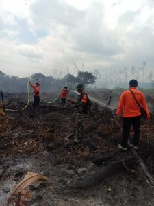 Hutan di Pessel Kembali Terbakar, Hingga Kini Api Belum Padam