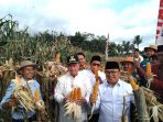M.Rahmad Optimis 50 Kota Bisa Jadi Sentra Pertanian Jagung