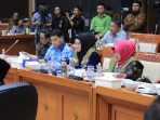 Rapat Bersama di Gedung Nusantara II, Lisda Hendrajoni Sampaikan Aspirasi Relawan TAGANA kepada Menteri Sosial Juliari Batubara
