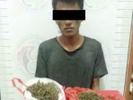 Tak Ada peluang Bagi Narkoba. Team Sat Res Narkoba Polres Simeulue Kipas Tuntas Pengedar Ganja