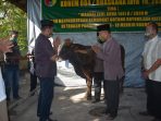 Penyerahan Hewan Qurban Dilakukan Secara Simbolis
