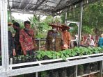 Guna Memenuhi Kebutuhan Sayur dan Buah. Bupati Hendrajoni, Ajak Masyarakat Manfaatkan Pekarangan
