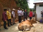 Nagari Kalo – Kalo Terima Sapi Qurban dari RSUD Prof.Dr. M. Ali Hanafiah Batusangkar