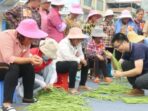 Distrik Xingbin, Laibin dan Guangxi Gencar Kembangkan Pertanian