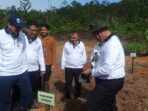 Gubernur Mahyeldi Buka Walk And Fun Sekaligus Penanaman 1000 Bibit Tanaman