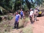 Aksi Pencurian Sawit Marak di Pancung Soal, Kamil Indra : Polisi Harus Sikat Pelakunya