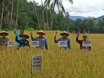 Catatan Kinerja Disbuntanhor Sumbar Sepanjang Tahun 2022 Dukung Progul Sumbar Sejahtera