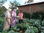 Anggota Komisi VI DPR RI Fraksi PKS Hj. Nevi Zuairina Menggalakkan Pertanian Organik di Dapilnya