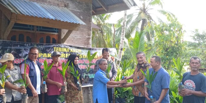 Komitmen Tingkatkan Perekonomian Petani, Zarfi Deson Bagikan Ribuan Bibit Pinang Batara di Mentawai