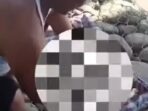 Seorang Bayi Ditemukan Telentang di Atas Batu Bronjong
