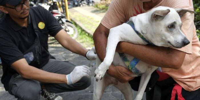 Waspadalah, Rabies Bisa Berakhir dengan Kematian