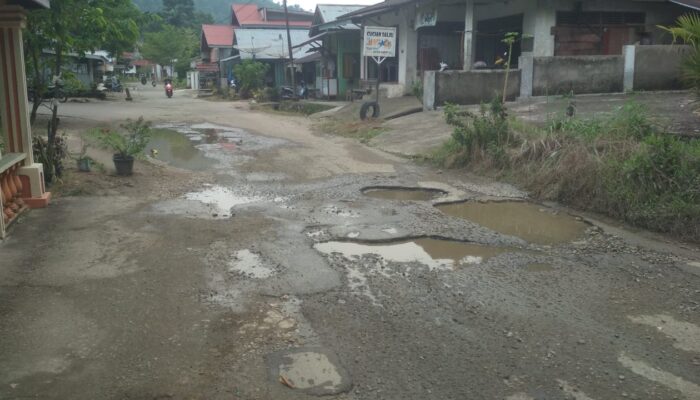 Onde! Jalan Rusak Parah Menuju Lubuk Nyiur, Baralek Gadang Terancam