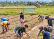 Hanya Dua Momen, HTI Sepi di Sumbar, Makna Ungkapan Soekarno Berlaku Saja