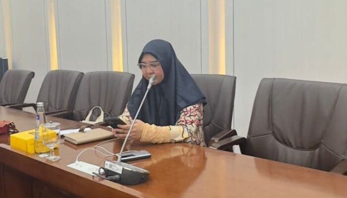 Rapat Kerja Komisi VI Dengan BKPM, Nevi Zuairina Minta Solusi Damai Penyelesaian Konflik Rempang