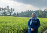 Kekeringan Sawah  di Solok Jadi Perhatian Khusus Wasekjen DPP Demokrat Imelda Sari