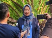 Yurnita Petani Sukses Dengan Pola Bertani Pokok Murah di Solsel