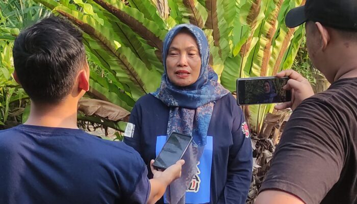 Yurnita Petani Sukses Dengan Pola Bertani Pokok Murah di Solsel