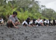 Antusiasnya Warga Kota Pariaman untuk Ikut Menanam Pohon Mangrove Bersama OMG Sumbar