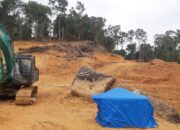 Merusak Lingkungan, Novermal: Pembangunan Resort di Pulau Cubadak Mandeh Harus Dihentikan