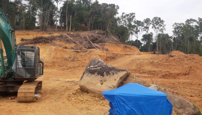 Merusak Lingkungan, Novermal: Pembangunan Resort di Pulau Cubadak Mandeh Harus Dihentikan