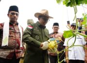 Bupati Eka Putra Panen Melon di SMK N 2 Batusangkar