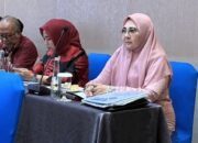 Pada RDP Komisi VI DPR RI, Nevi Zuairina Meminta Pembenahan Tata Kelola Pertambangan Nasional