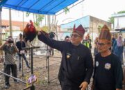 Lomba Ayam Kukuak Balenggek Jadi Primadona di Rangkaian HUT Kota Padang