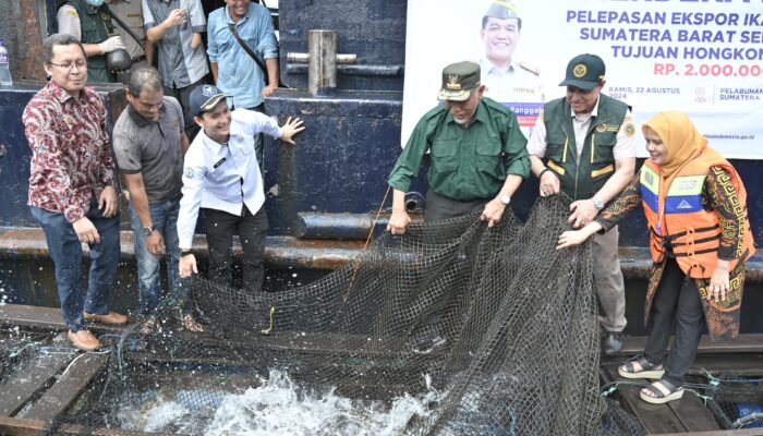 Gubernur Sumbar Lepas Ekspor 11 Ton Ikan Kerapu ke Hongkong, Targetkan Peningkatan Volume Ekspor