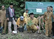 Gubernur Mahyeldi Sukses Meningkatkan Pendapatan Petani Hutan Lewat Program Perhutanan Sosial