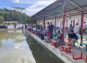 Calon Wali Kota Padang, Fadly Amran, Buka Pesta Mancing Ikan Lele di Kaki Bukit Nobita