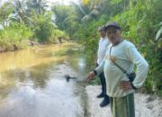 Pemprov Sumbar Sebar Ratusan Ribu Bibit Ikan Garing Kepada Masyarakat