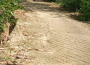 Oknum BPD Gelaman, Diduga Sunat Anggaran Pekerjaan Rabat Beton Dan Irigasi